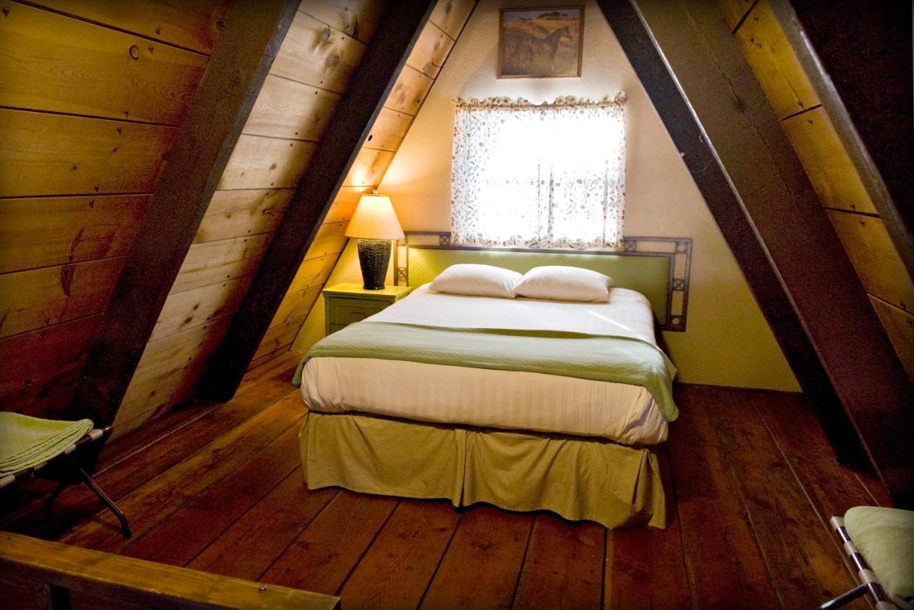 Hotel Cabins On Strawberry Hill Pine Exteriér fotografie