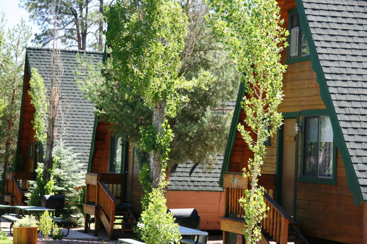 Hotel Cabins On Strawberry Hill Pine Exteriér fotografie