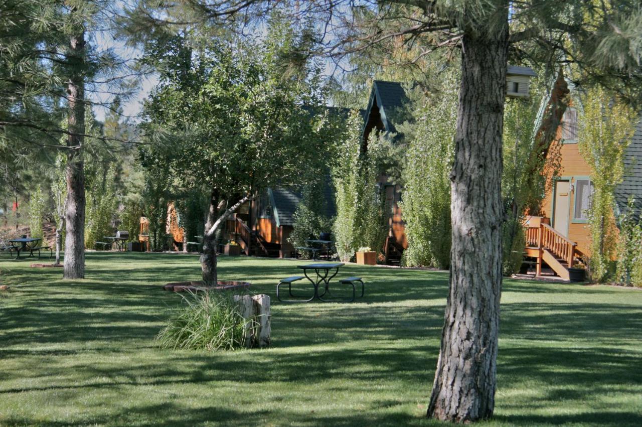 Hotel Cabins On Strawberry Hill Pine Exteriér fotografie